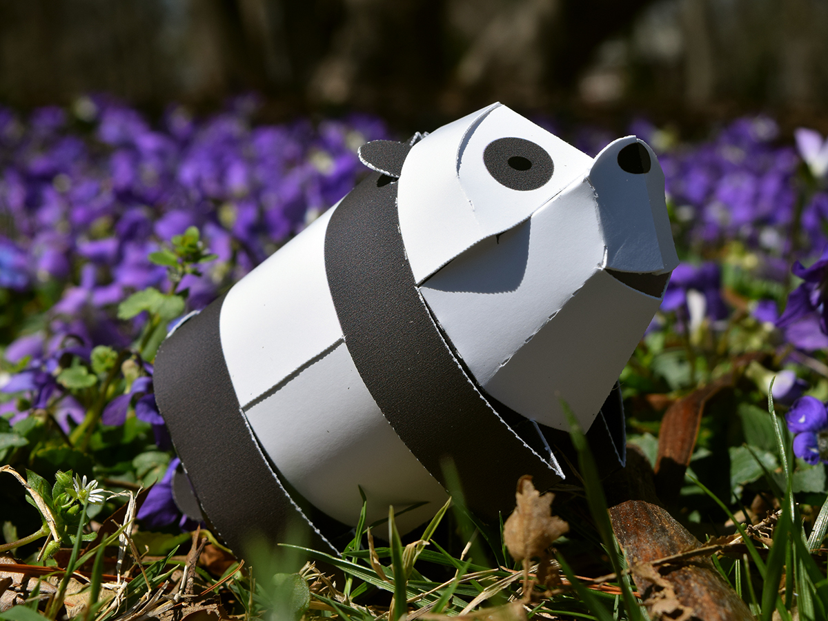 Tree frog，Paper，Paper toys，honeybee，Toys，