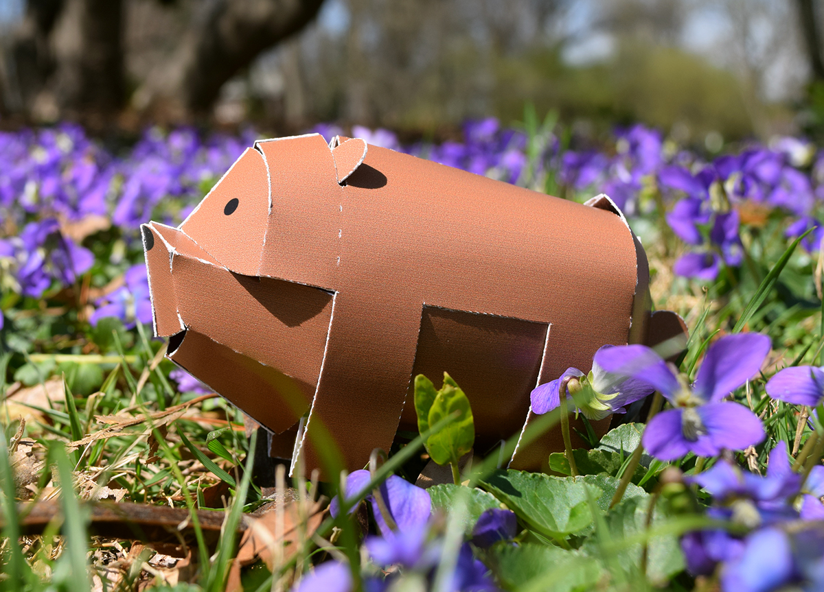 Tree frog，Paper，Paper toys，honeybee，Toys，