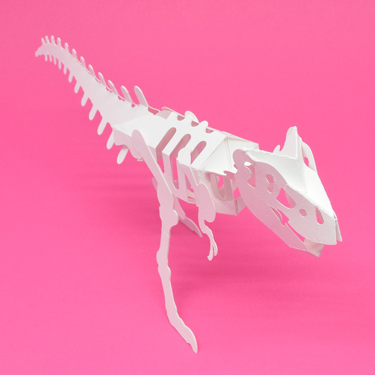 Tree frog，Paper，Paper toys，honeybee，Toys，