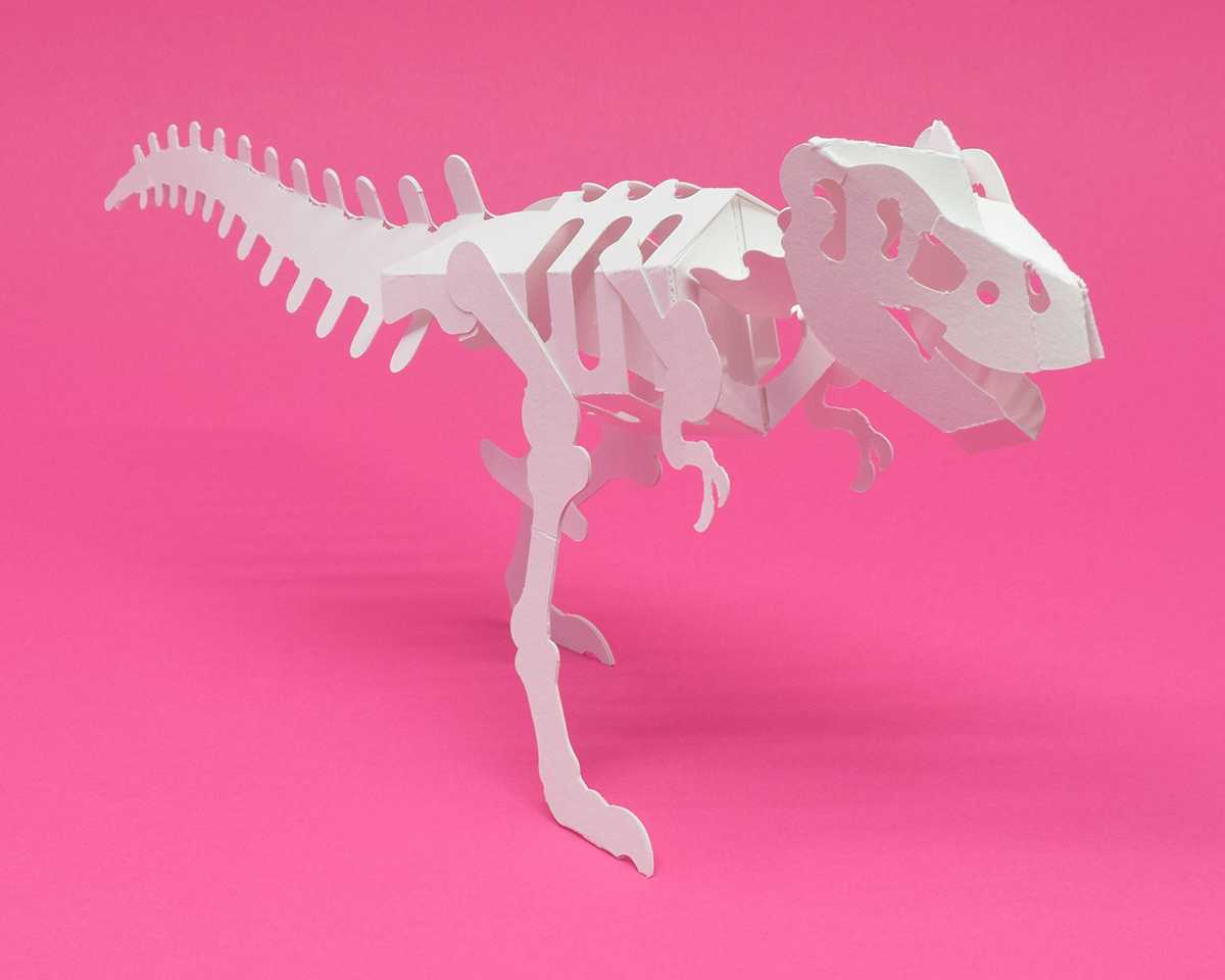 Tree frog，Paper，Paper toys，honeybee，Toys，