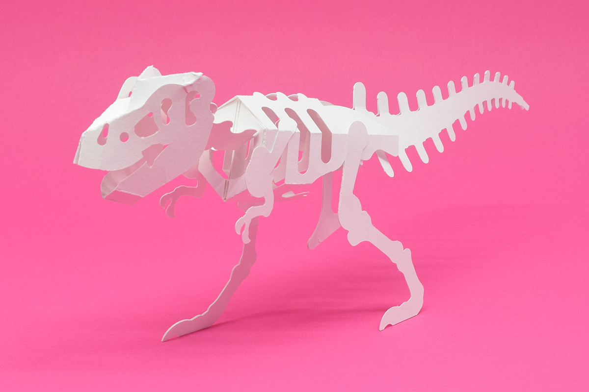 Tree frog，Paper，Paper toys，honeybee，Toys，