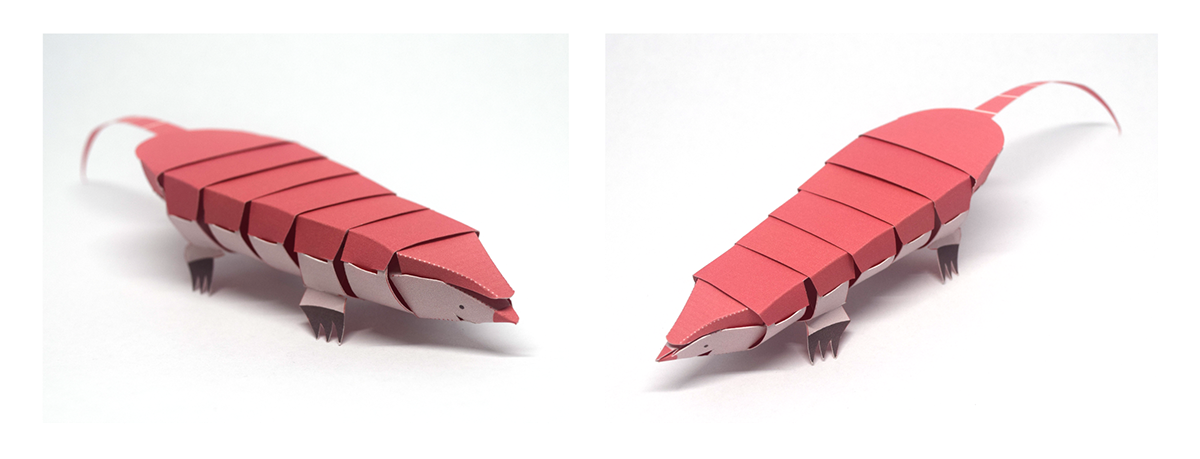 Tree frog，Paper，Paper toys，honeybee，Toys，