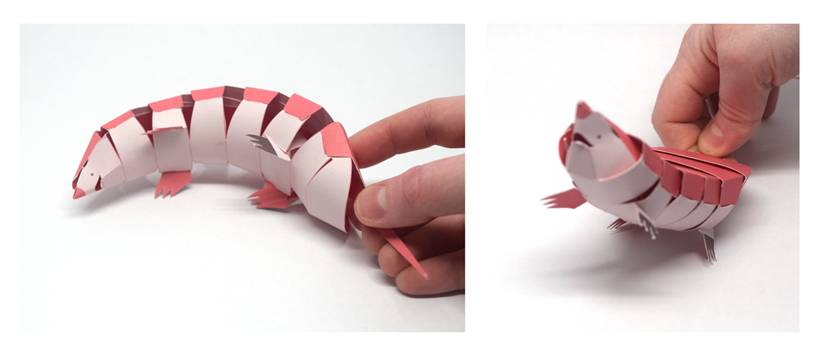 Tree frog，Paper，Paper toys，honeybee，Toys，