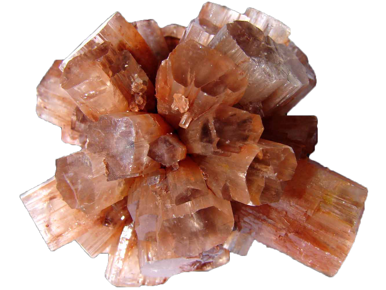 Aragonite，a chandelier，Lighting，lighting，Nick O'Donnell，modeling，