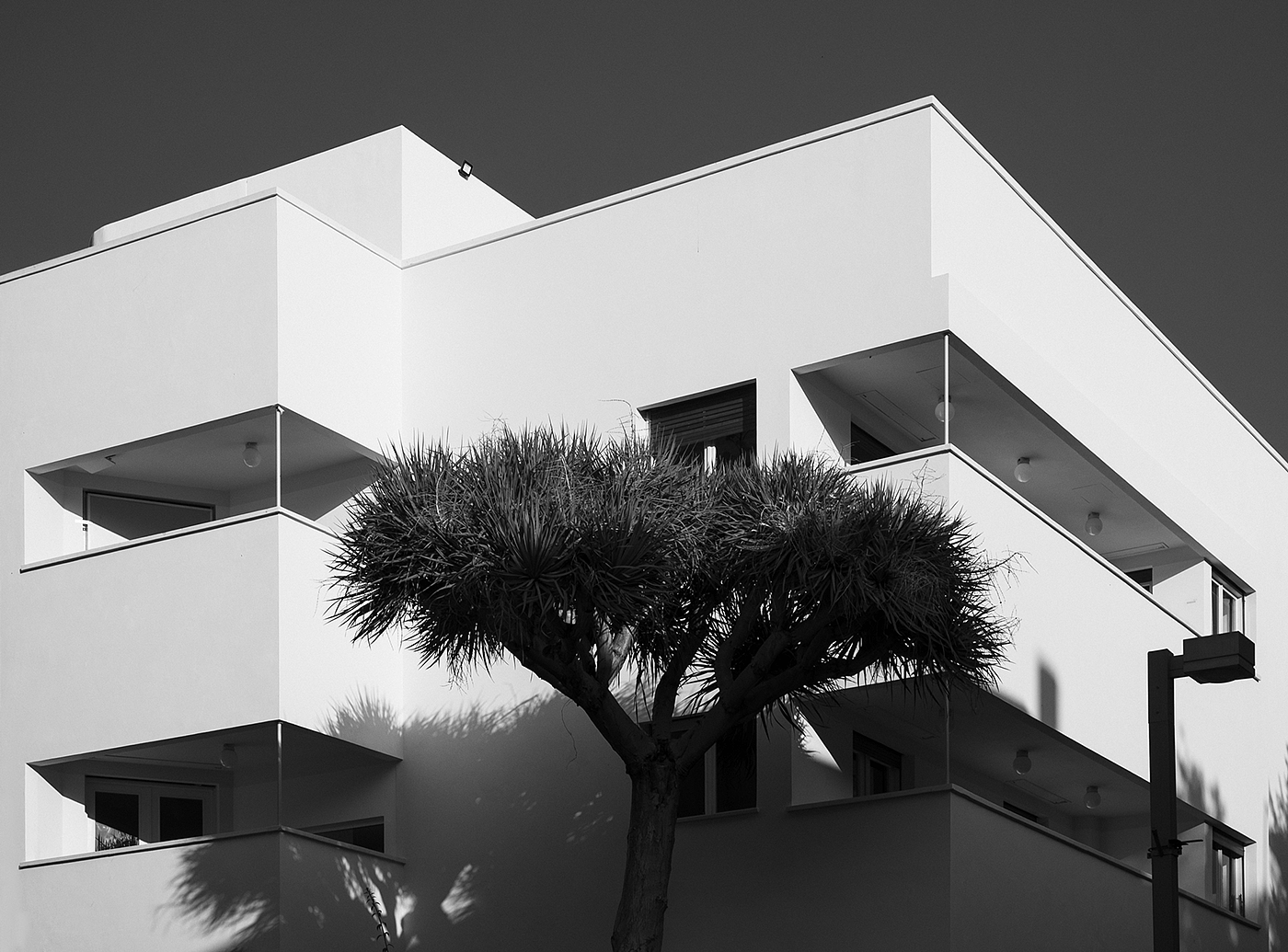 Black and White，Minimalism，Architectural design，Tel Aviv ，Bauhaus style，