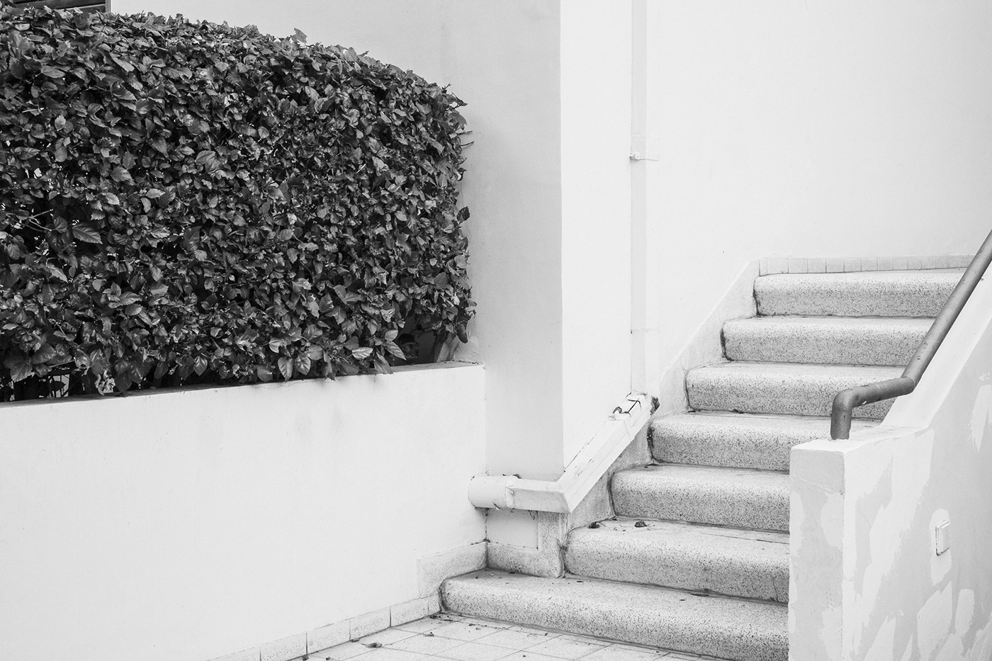 Black and White，Minimalism，Architectural design，Tel Aviv ，Bauhaus style，