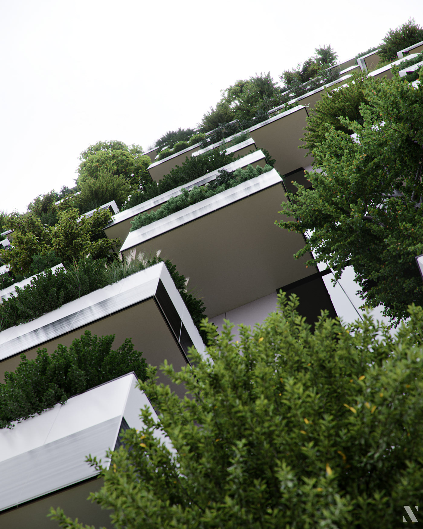 Render，cgi，Botany，modeling，