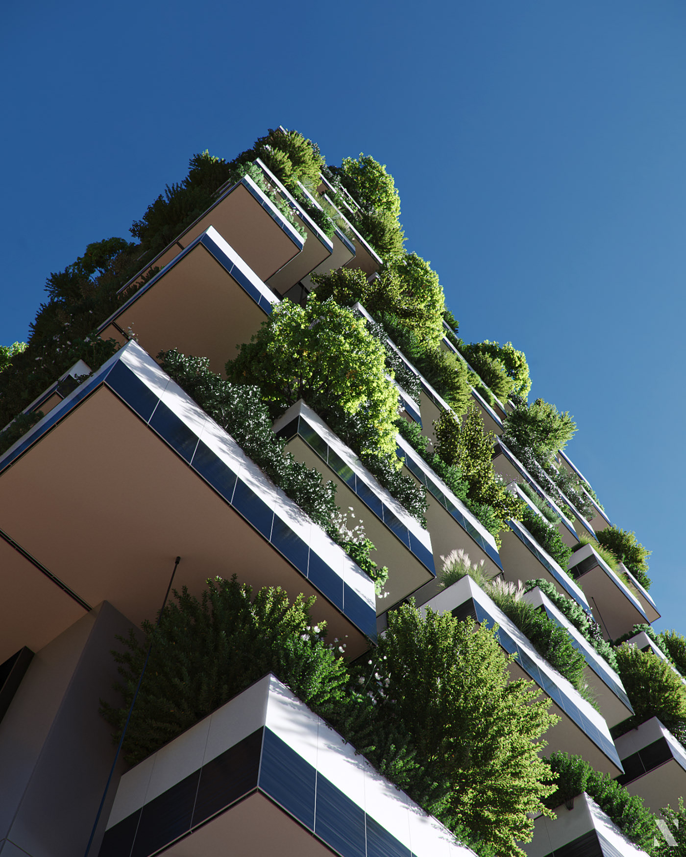 Render，cgi，Botany，modeling，