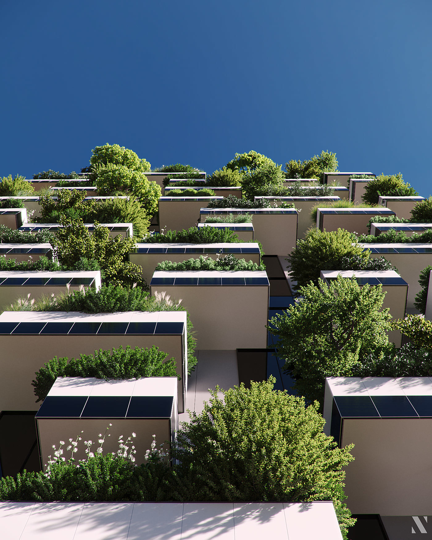 Render，cgi，Botany，modeling，