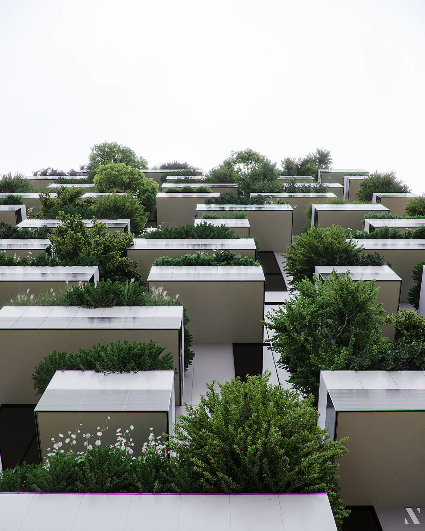 Render，cgi，Botany，modeling，