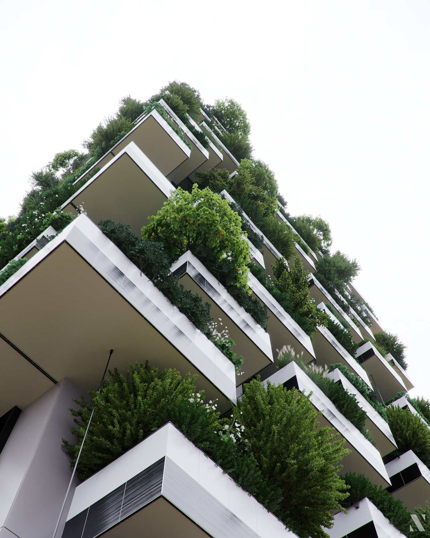 Render，cgi，Botany，modeling，