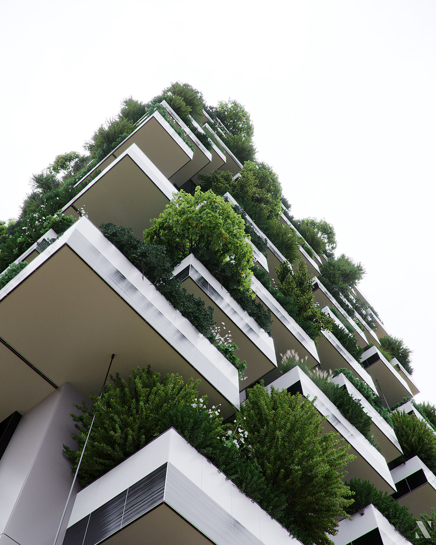 Render，cgi，Botany，modeling，