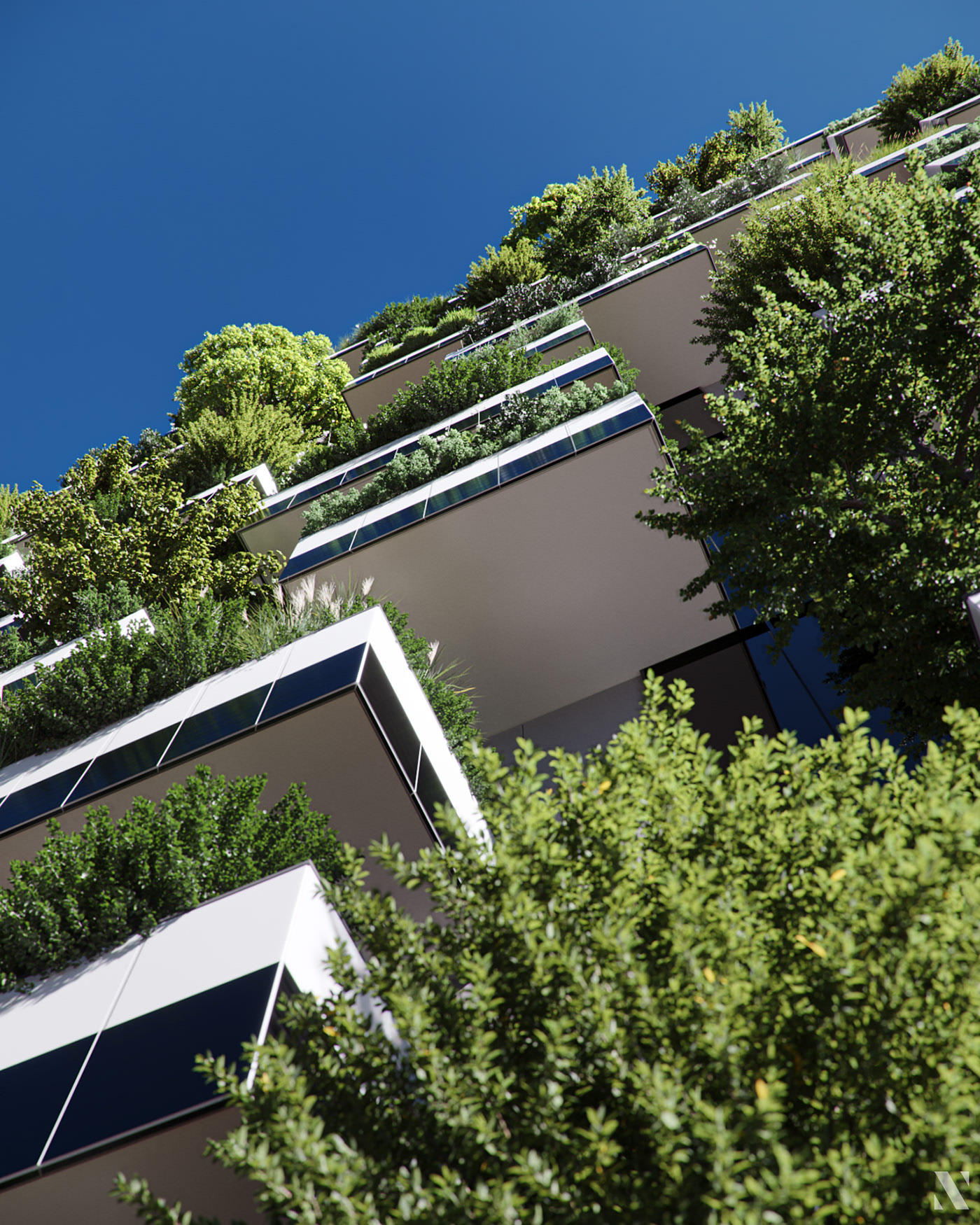 Render，cgi，Botany，modeling，
