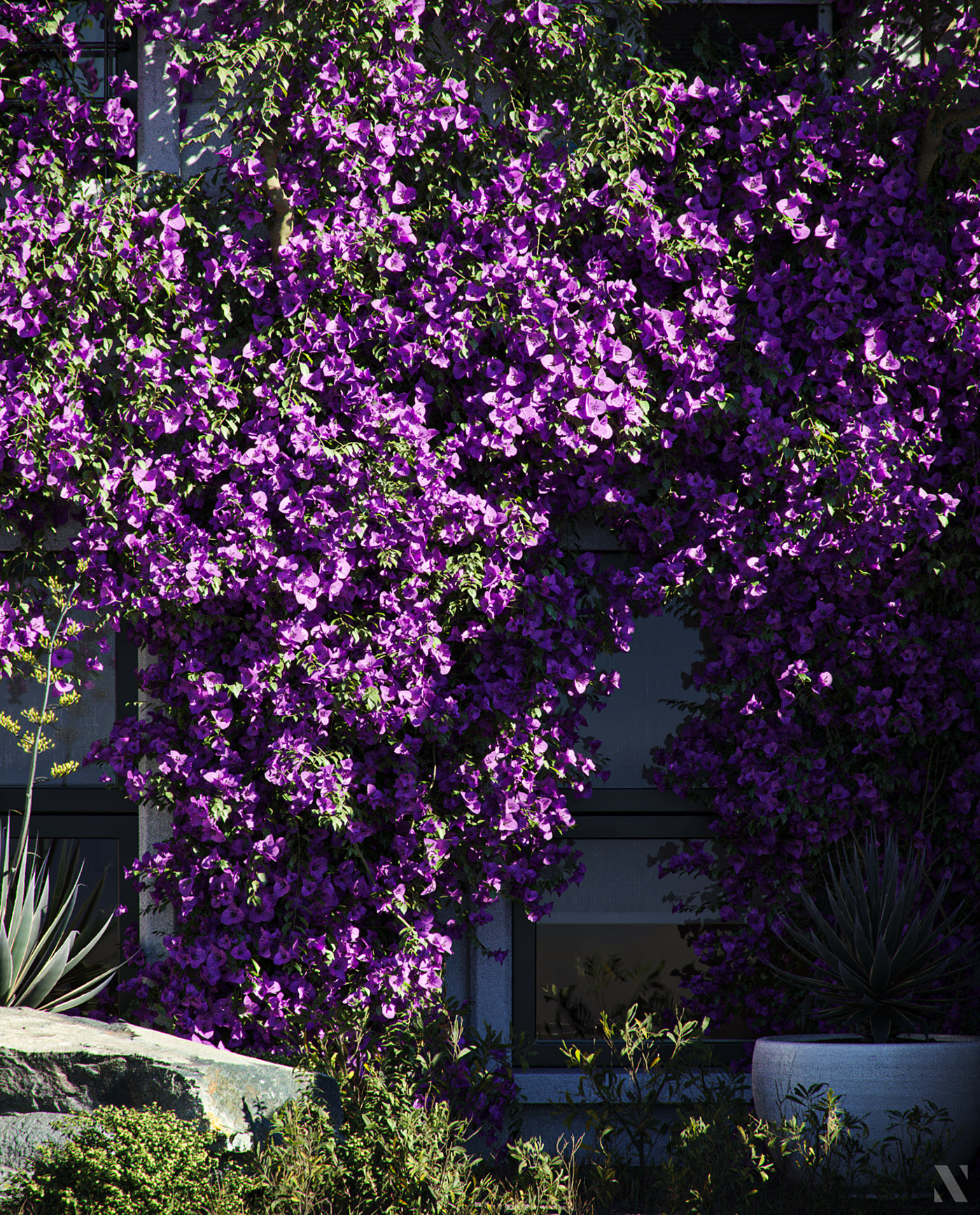 Render，cgi，Botany，modeling，