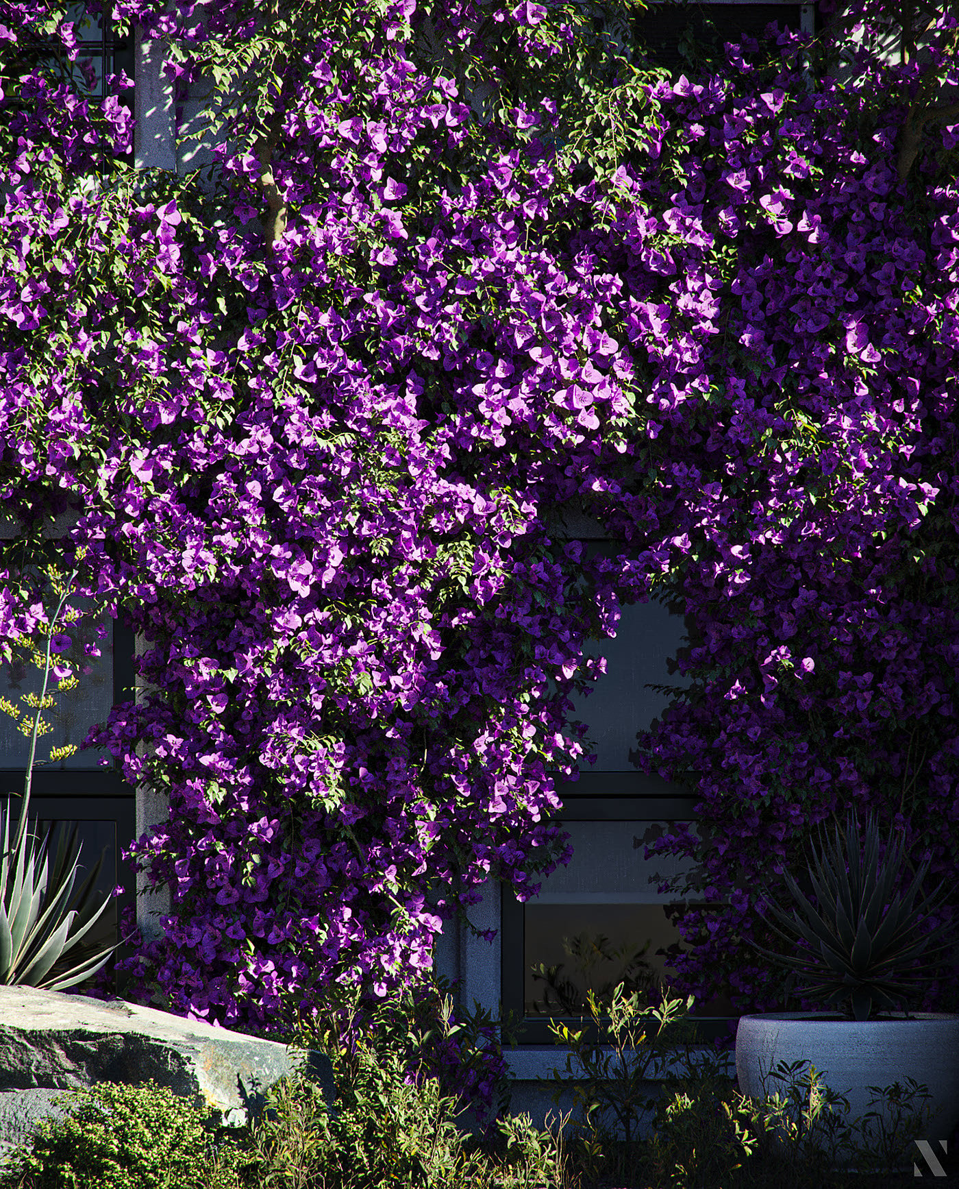 Render，cgi，Botany，modeling，