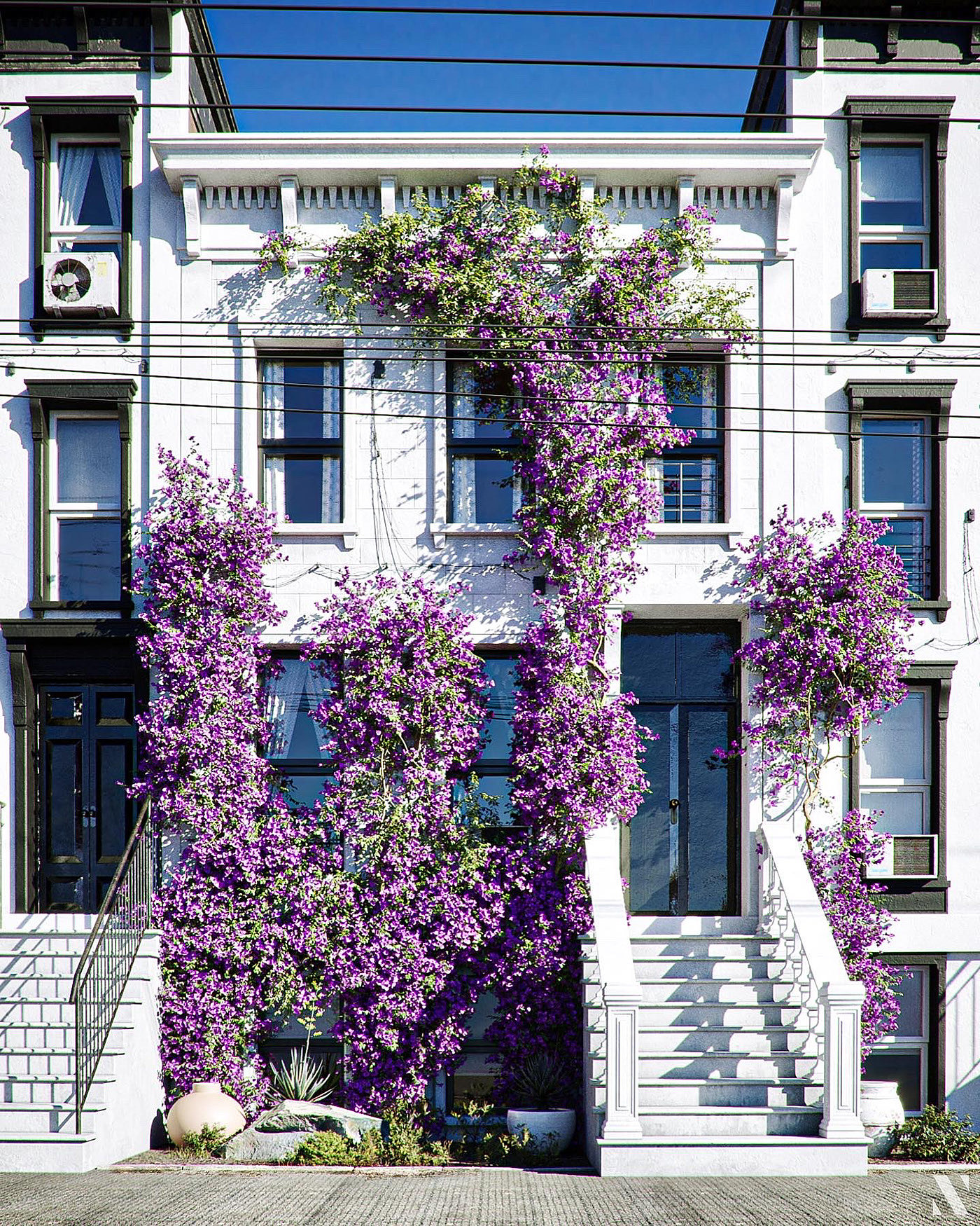 渲染，cgi，植物，建模，