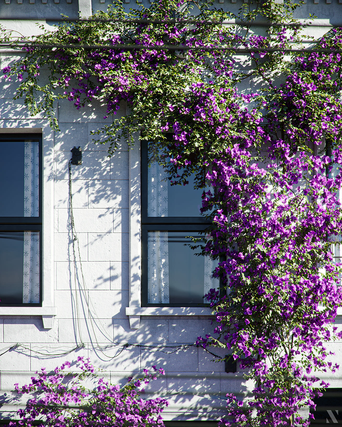 Render，cgi，Botany，modeling，
