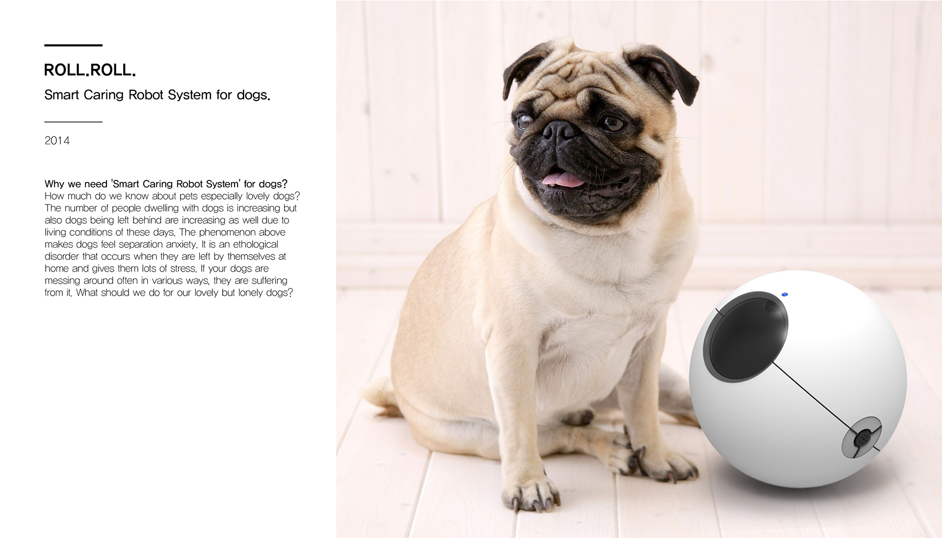 intelligence，Toys，Pets，Dog，