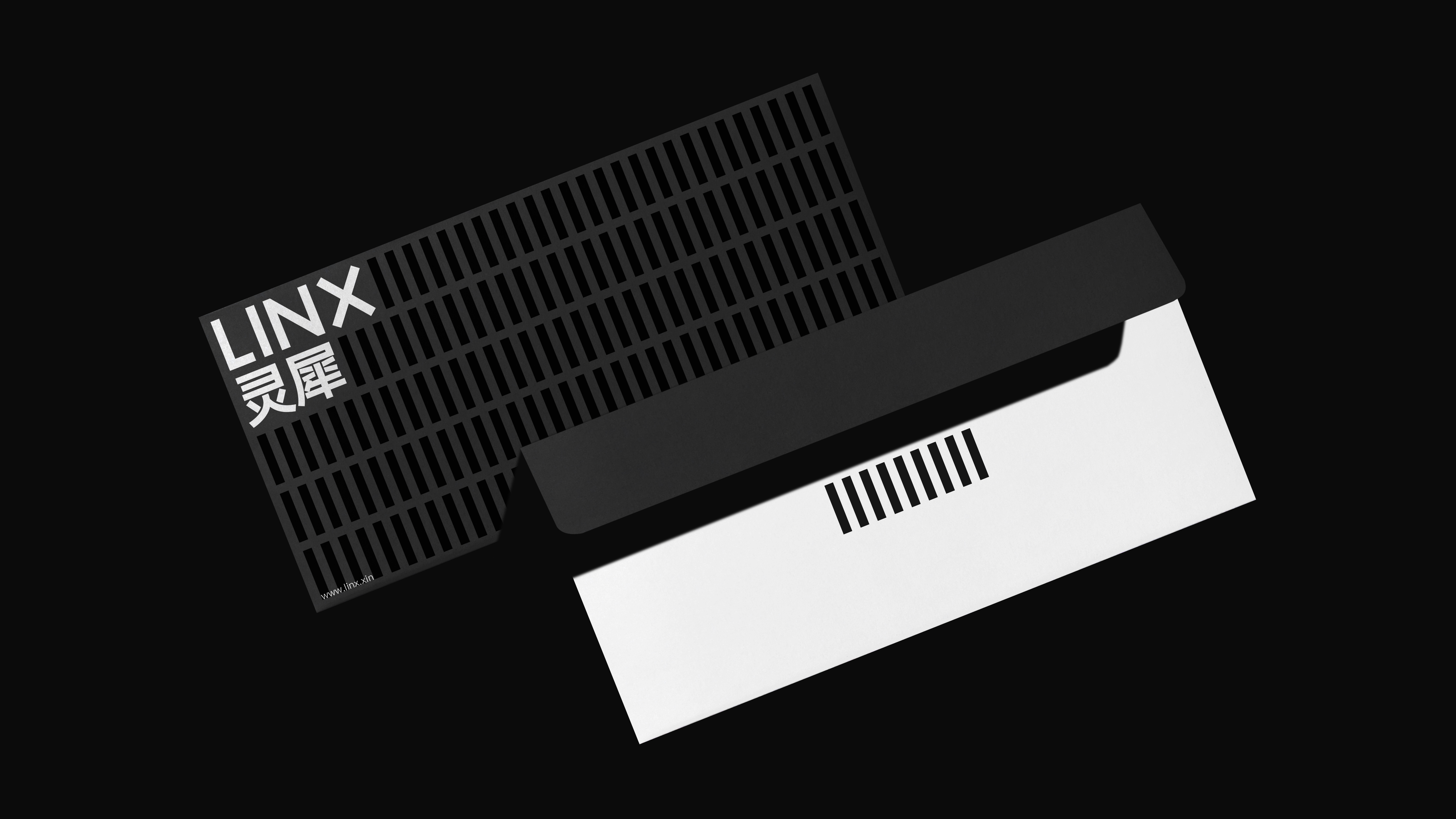 Linx rhinoceros，Brand design，Visual design，packing，envelope，