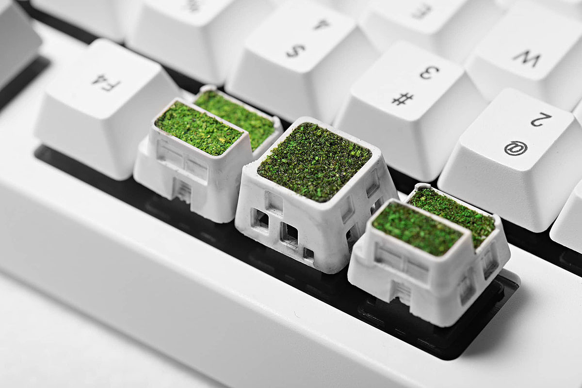 机械键盘，键帽，白色，草坪，建筑，