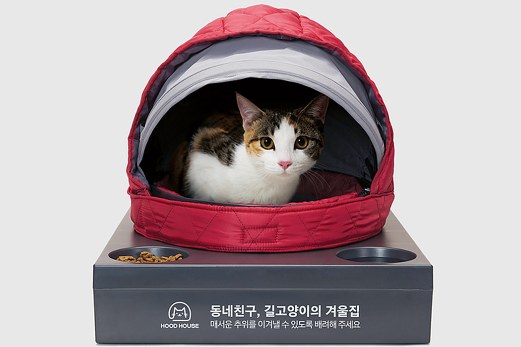 assemble，Recycling，Cat nest，Stray animals，