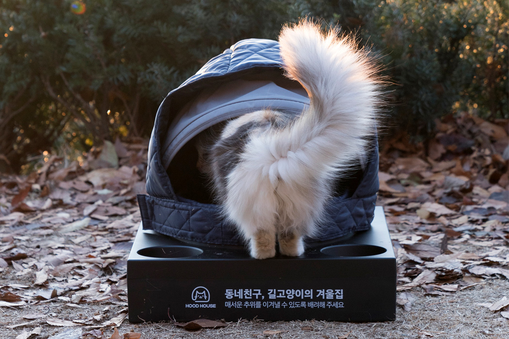 assemble，Recycling，Cat nest，Stray animals，