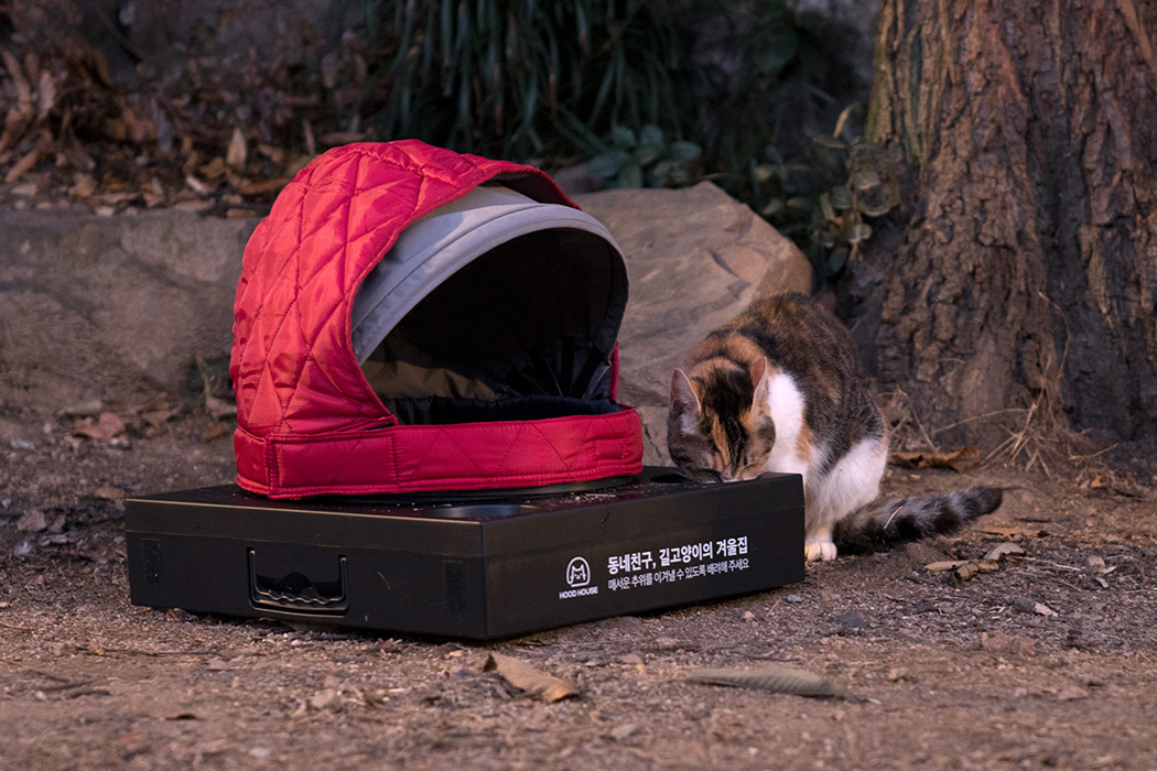 assemble，Recycling，Cat nest，Stray animals，