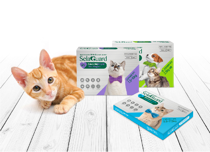 kdesignaward，korea，designer，design，award，Products，Yijiang，Architecture，