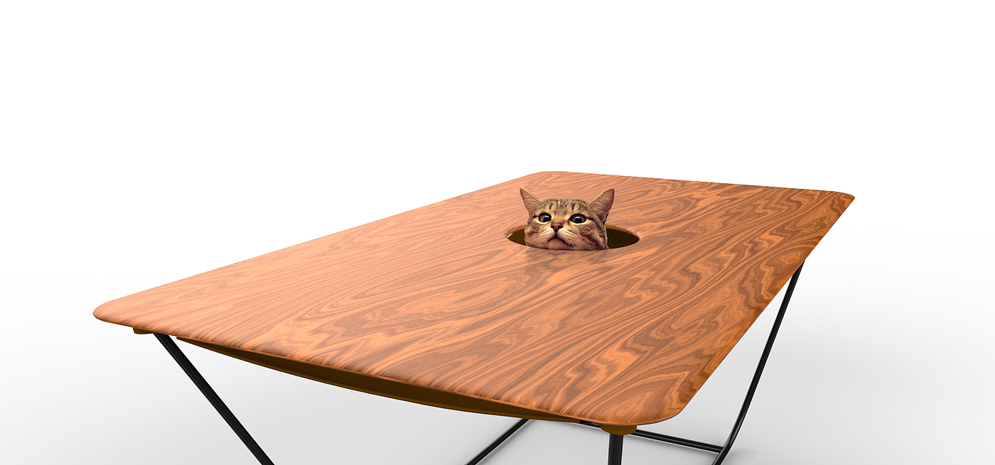 furniture，interest，cat，grace，Design norm，life，wisdom，Original design，crowd-funding，