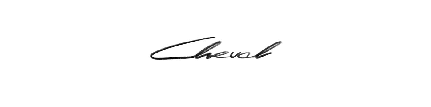 vehicle，magnetic suspension，Bachelor's thesis，industrial design，product design，