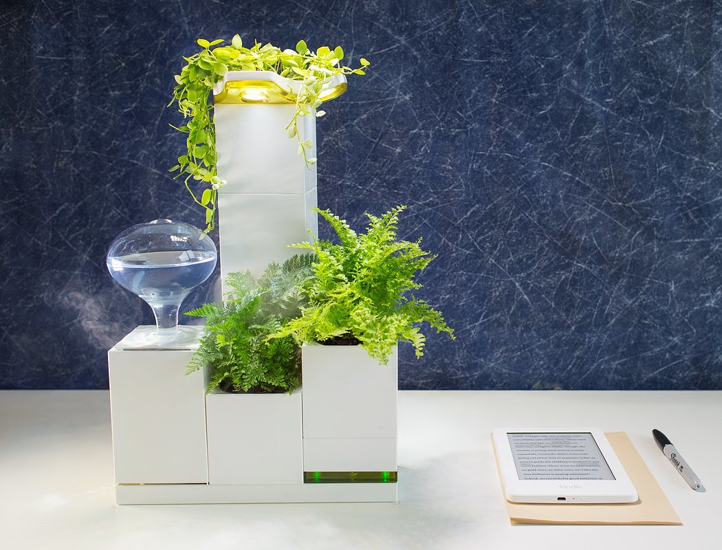 a deep forest，green，Botany，white，indoor，Haobin Lin，LeGrow，usb，
