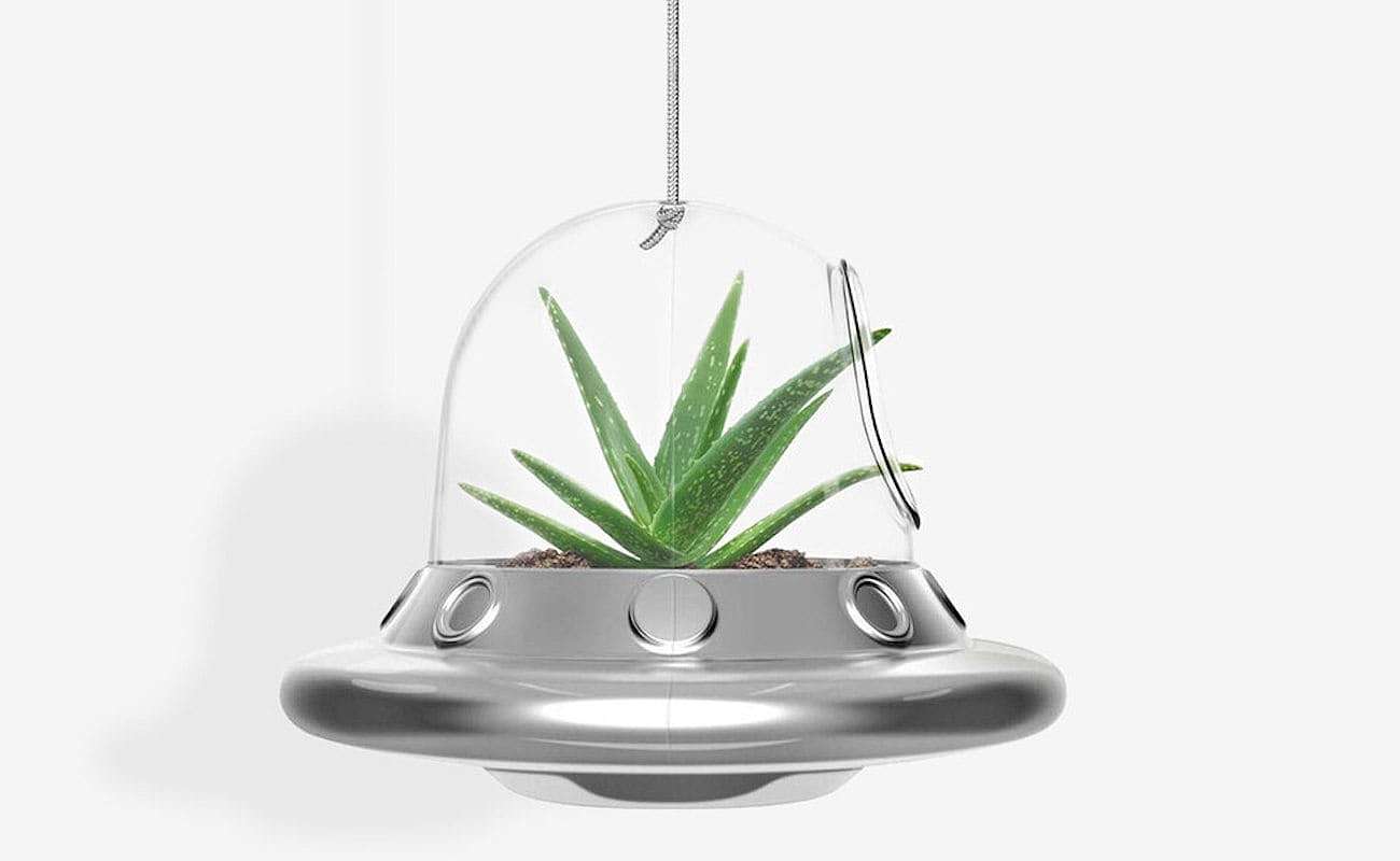 植物，玻璃，ufo，播种机，
