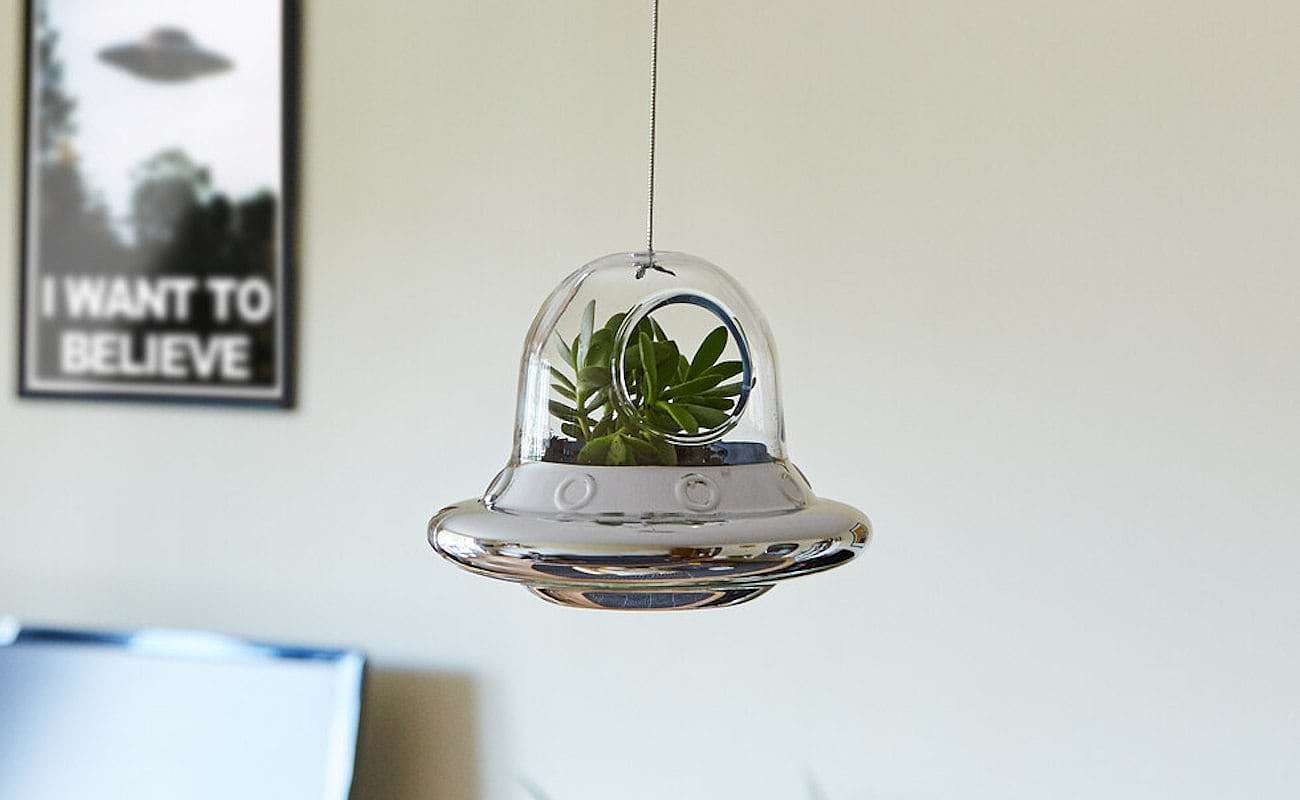 Botany，Glass，ufo，seeder，