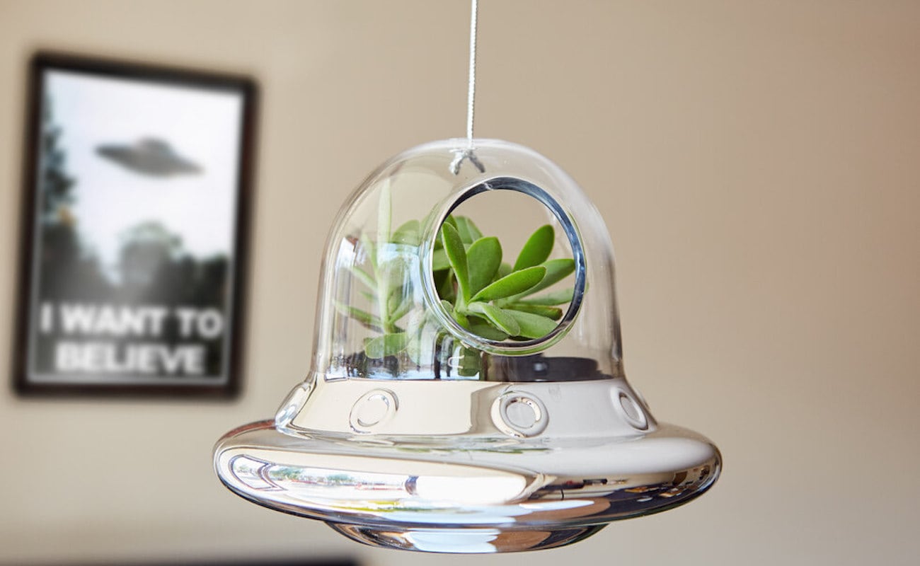 Botany，Glass，ufo，seeder，