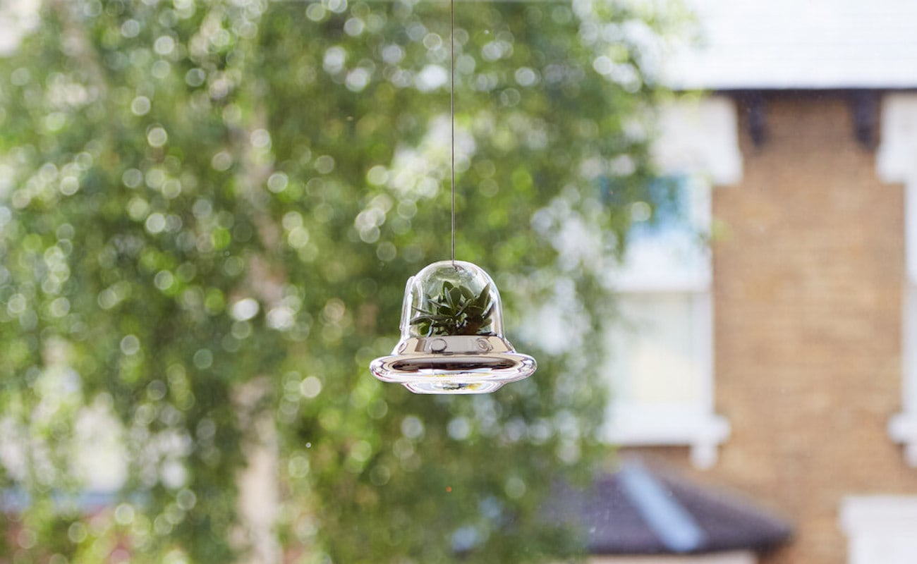 Botany，Glass，ufo，seeder，