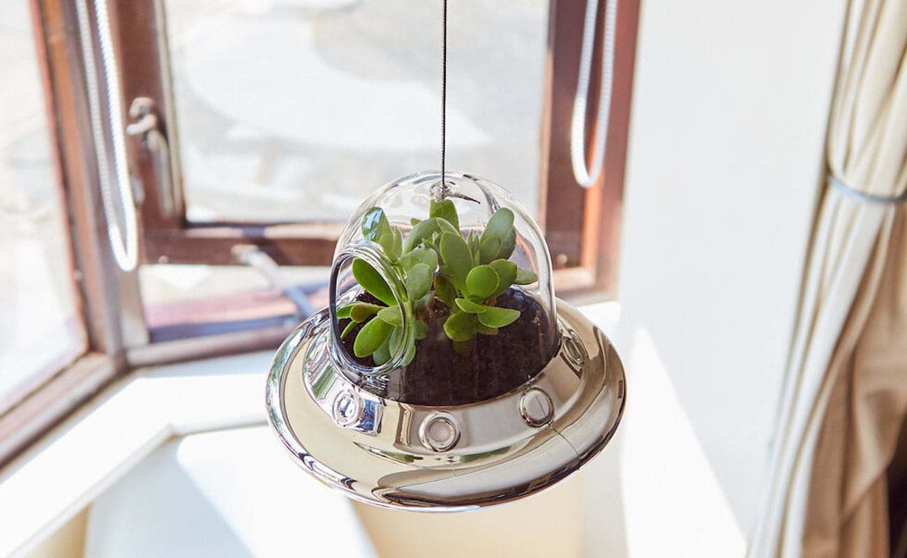 Botany，Glass，ufo，seeder，