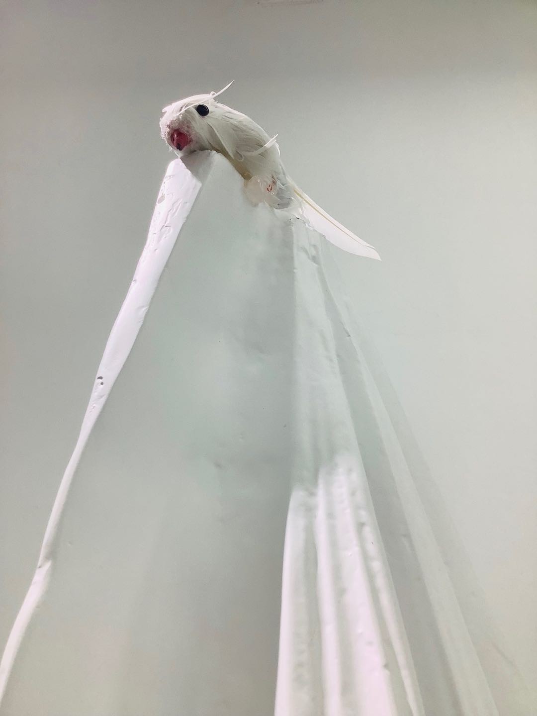 Immersive installation art exhibition，