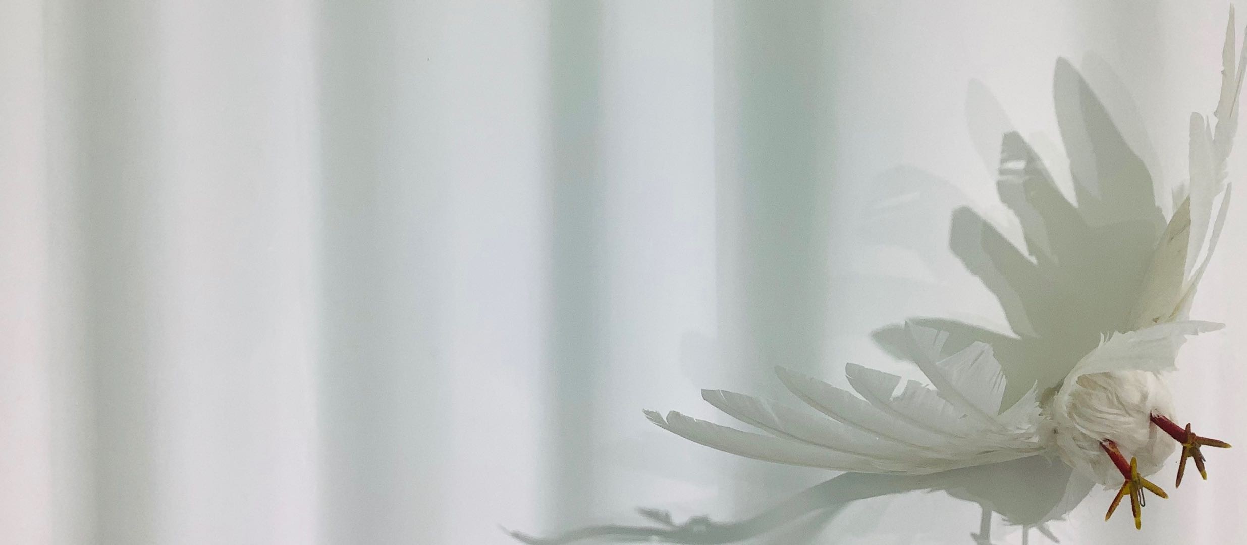 Immersive installation art exhibition，