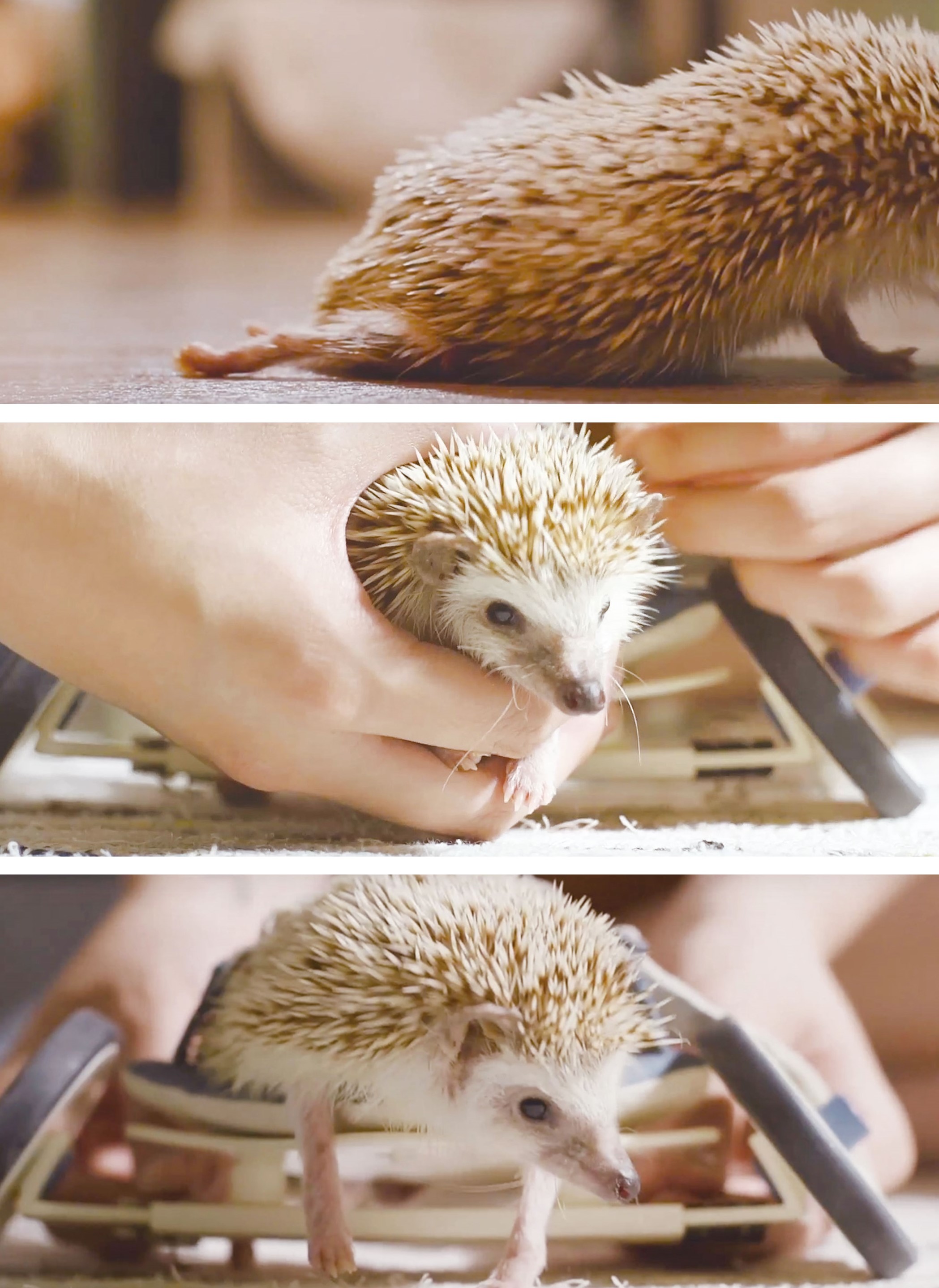 kdesignaward，korea，designer，design，award，Products，Architecture，Yijiang，