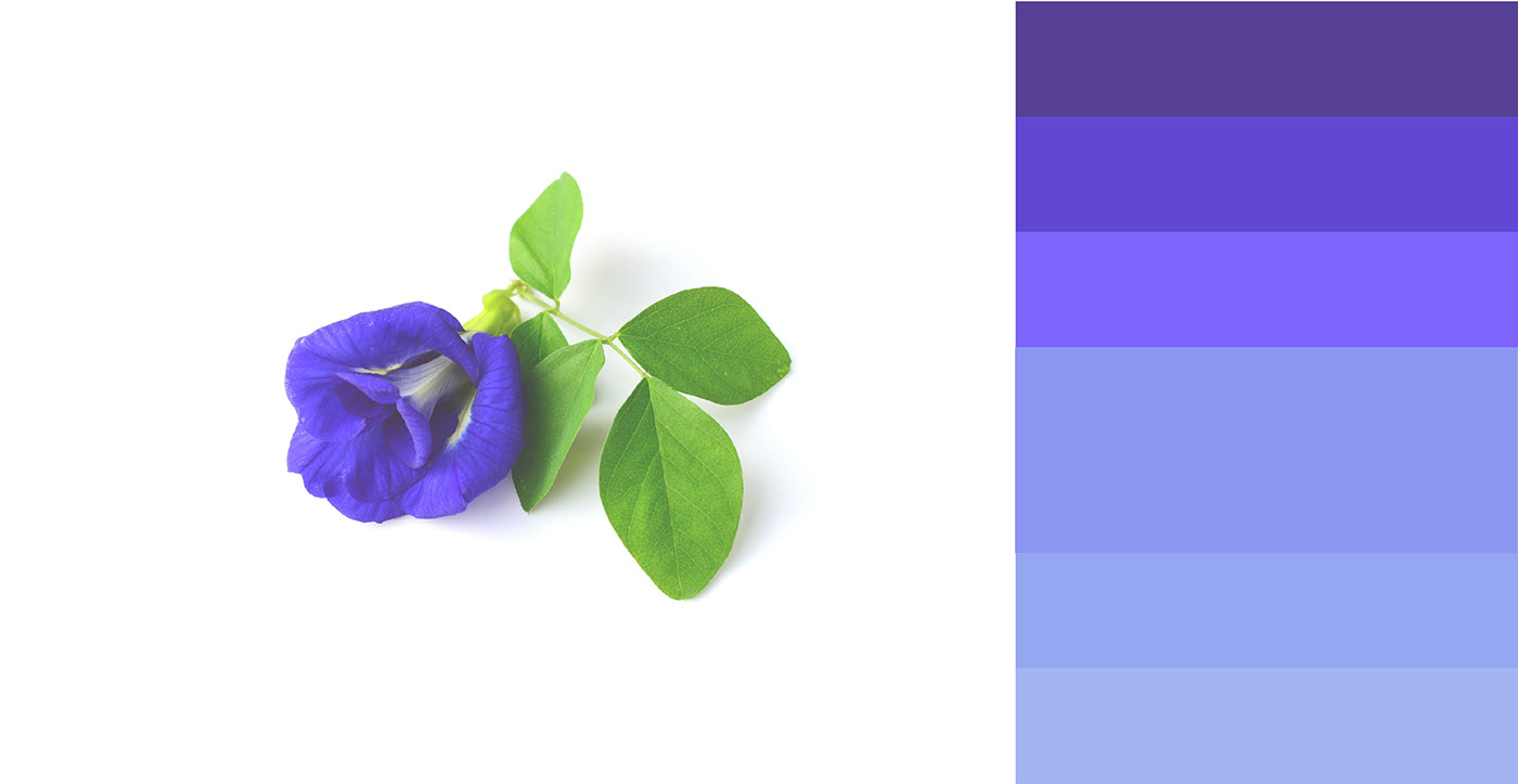 packing design，colour，industrial design，product design，