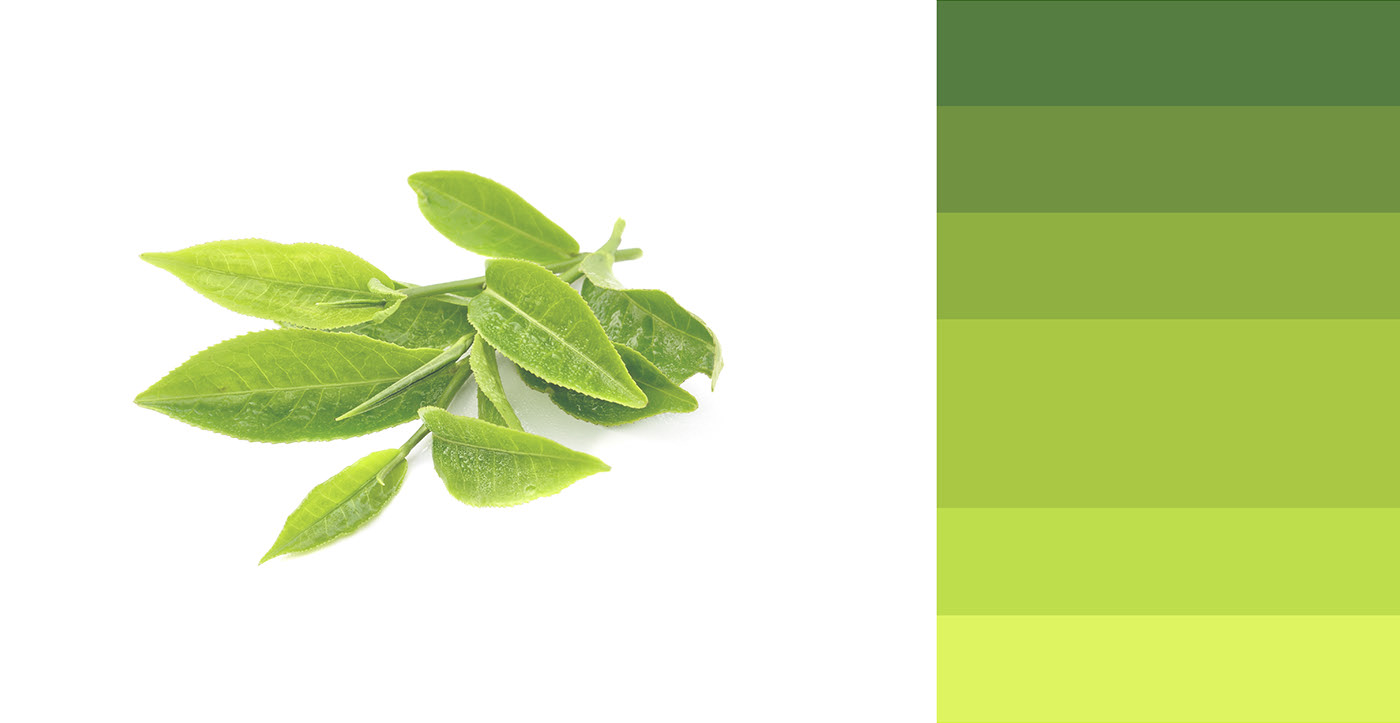 packing design，colour，industrial design，product design，