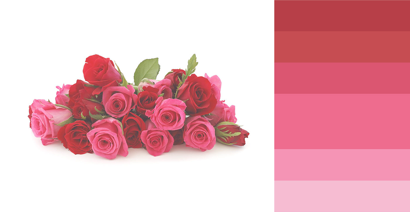 packing design，colour，industrial design，product design，