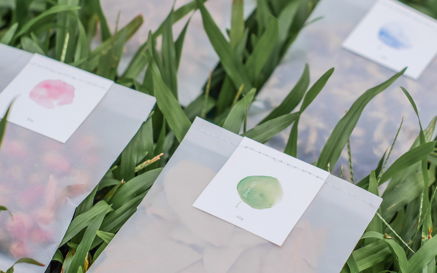 packing design，colour，industrial design，product design，