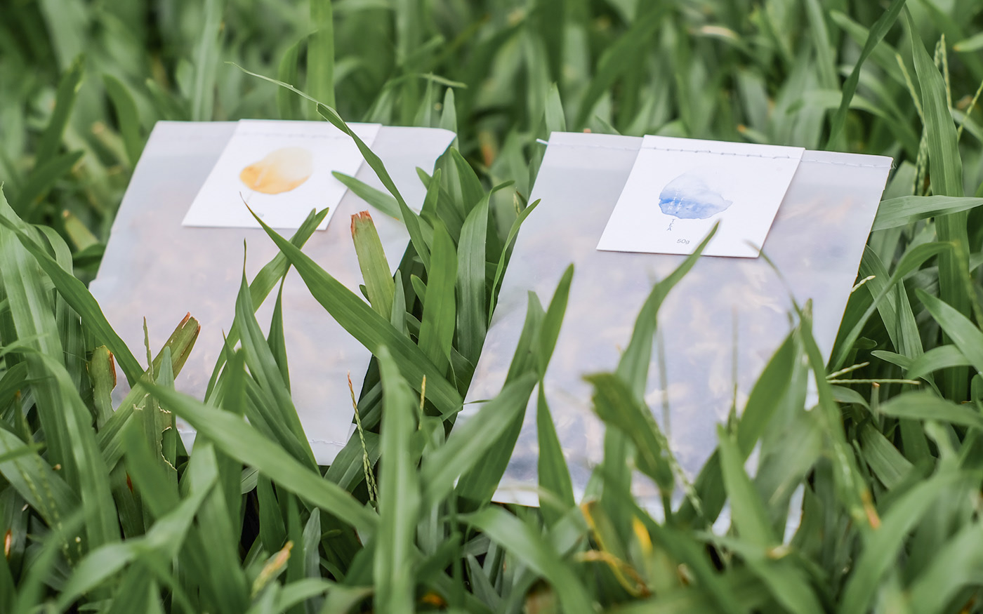 packing design，colour，industrial design，product design，