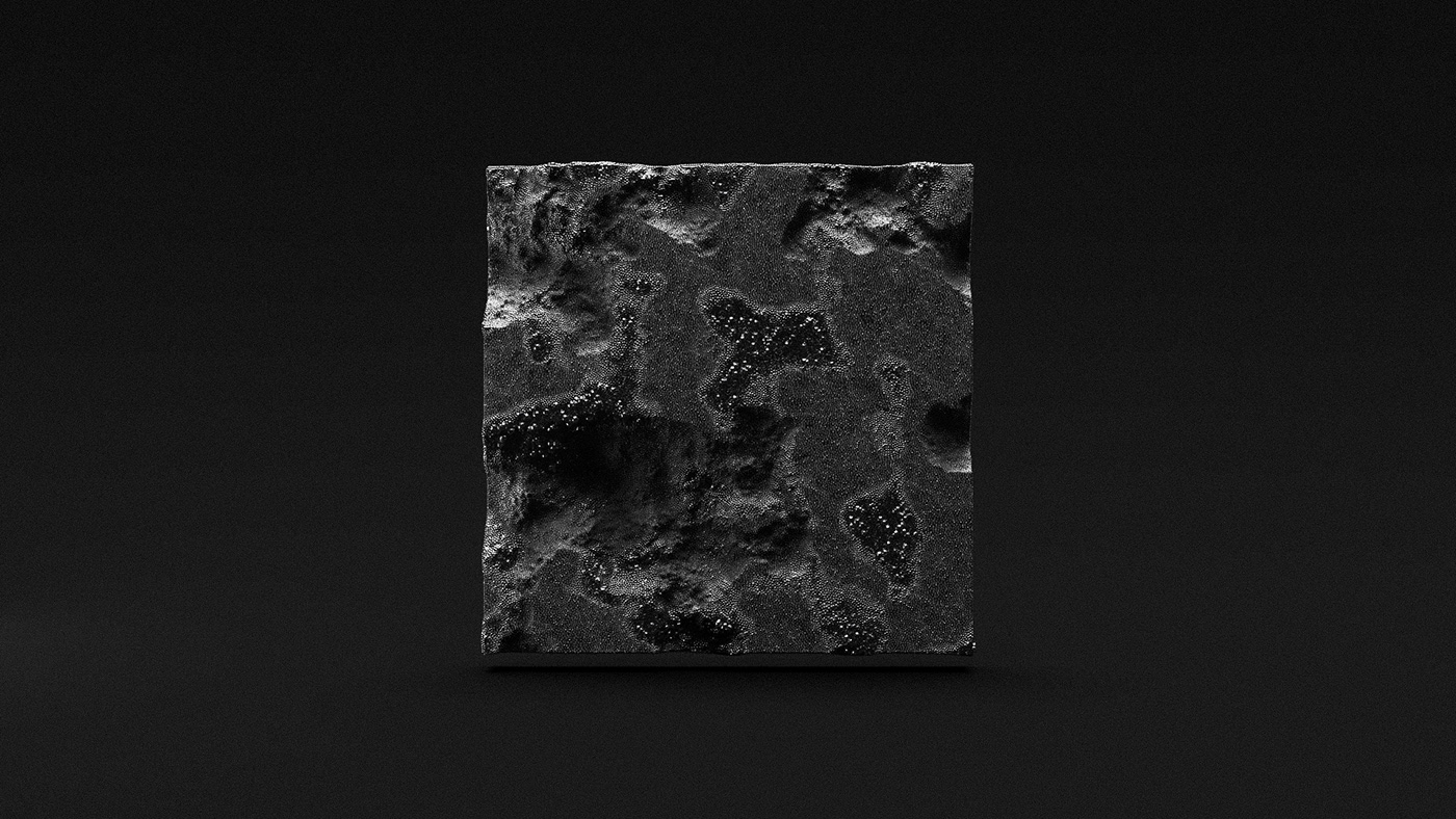 animal，bones，anatomy，National Geography，3d，