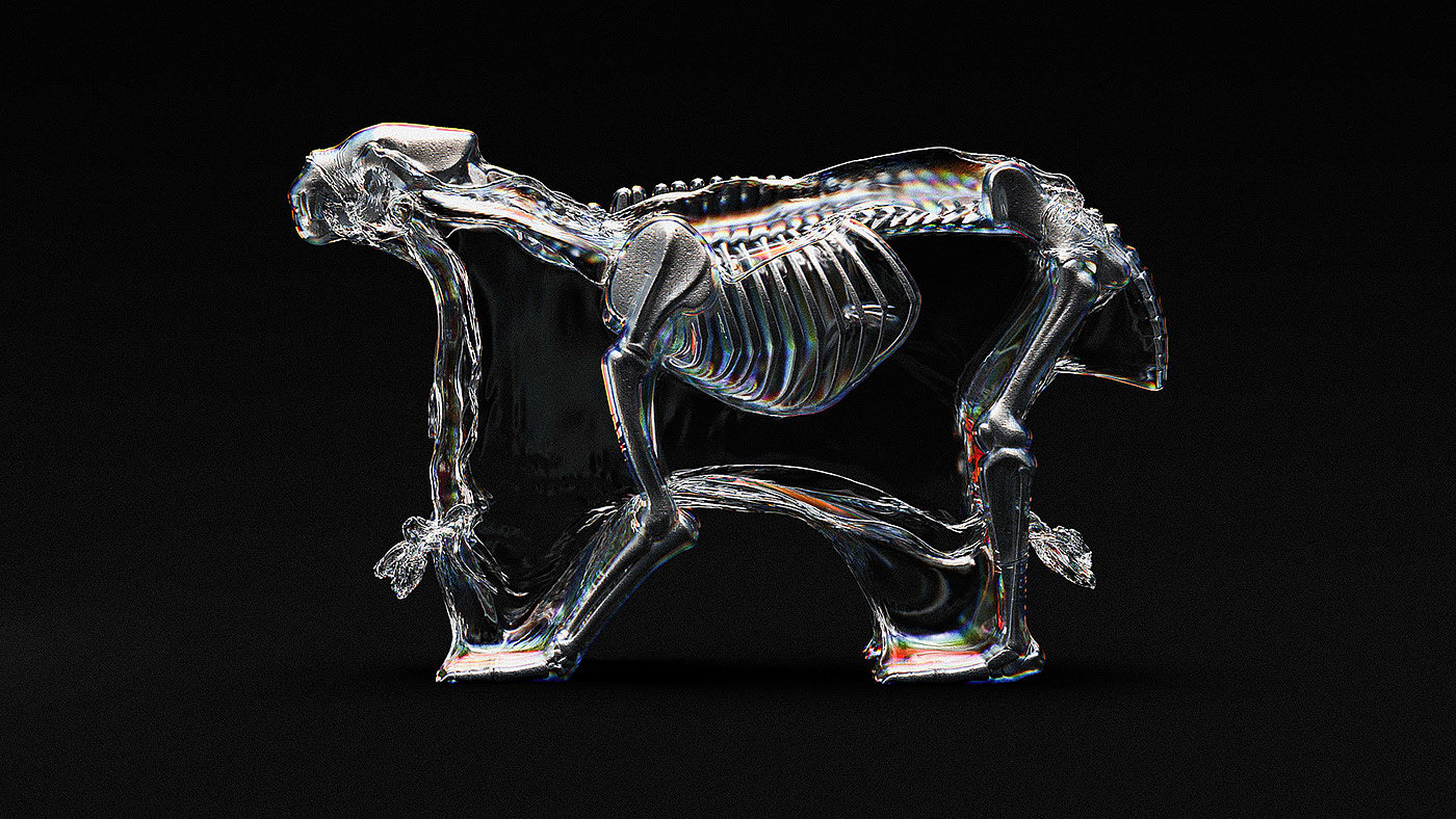 animal，bones，anatomy，National Geography，3d，