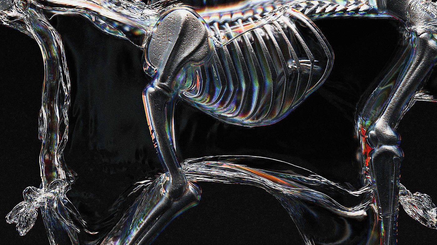 animal，bones，anatomy，National Geography，3d，