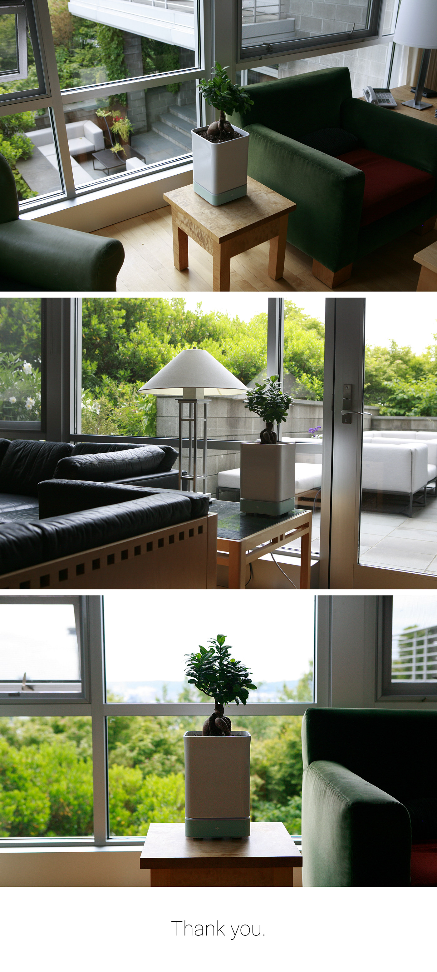 Flowerpot，intelligence，Mobile app，