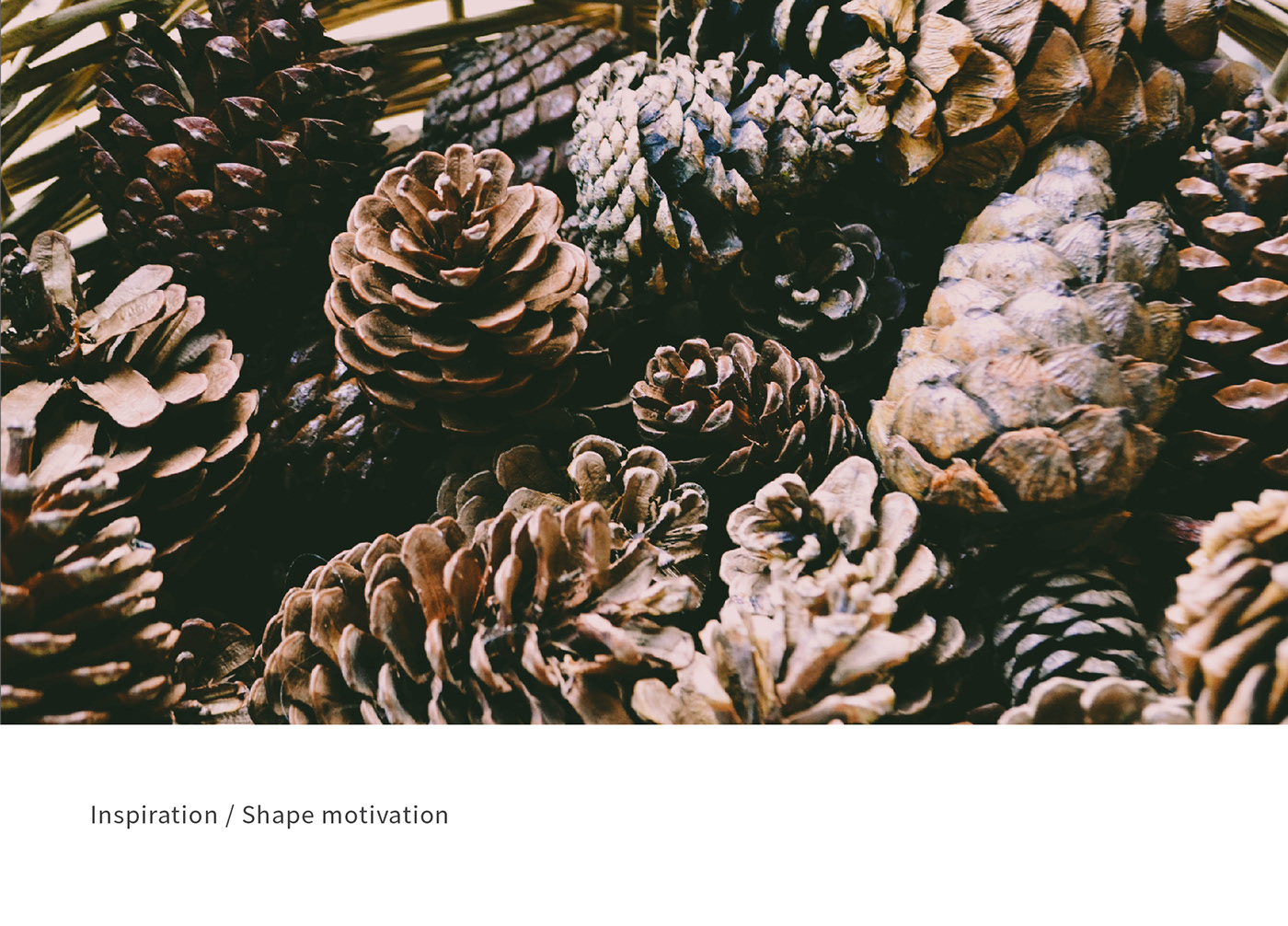 Pineal，Humidifier，Humidifier，Moisture control，