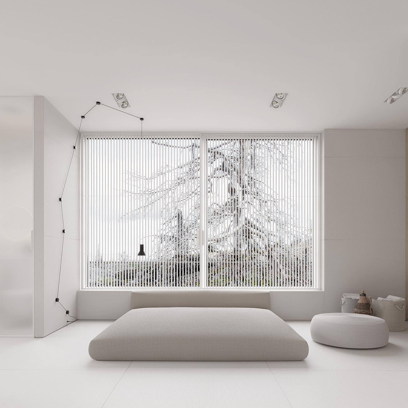 Minimalist，white，renovation，House PS3H，Igor Sirotov，residence，